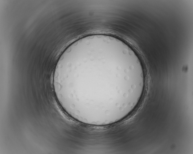 X0000114400841200911131404