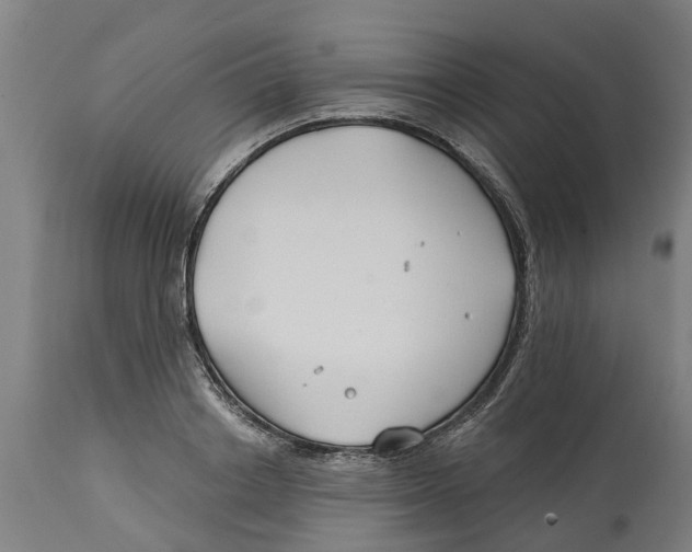 X0000114400842200911131404