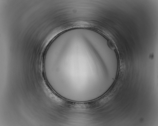 X0000114400843200911131404