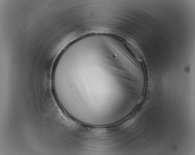 X0000114400845200911131404