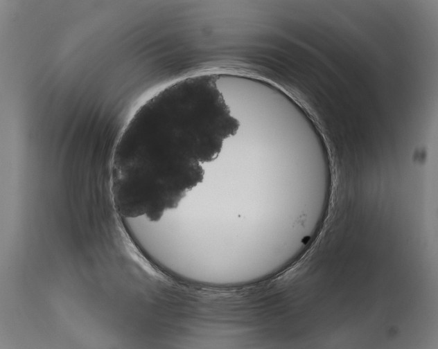 X0000114400846200911131404