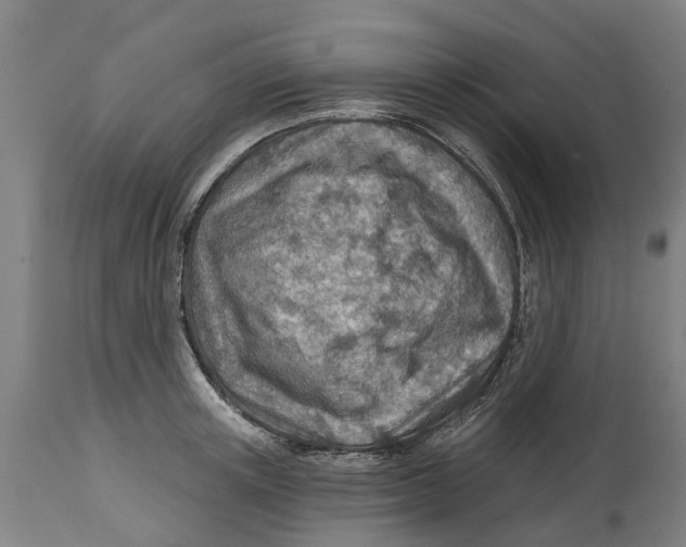 X0000114400851200911131404