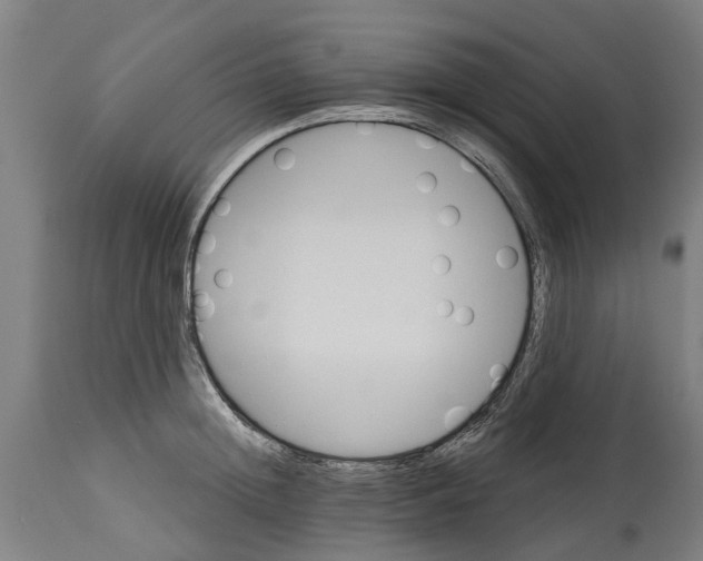 X0000114400852200911131404