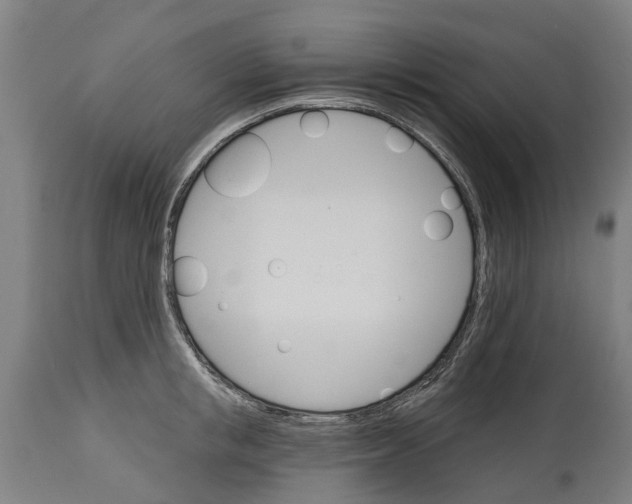 X0000114400853200911131404