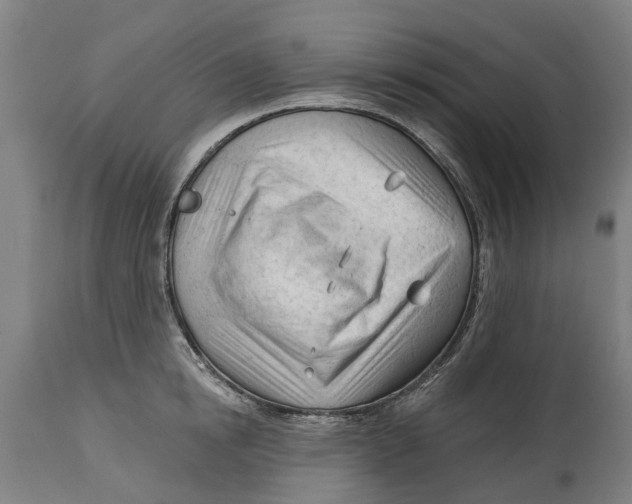 X0000114400854200911131404