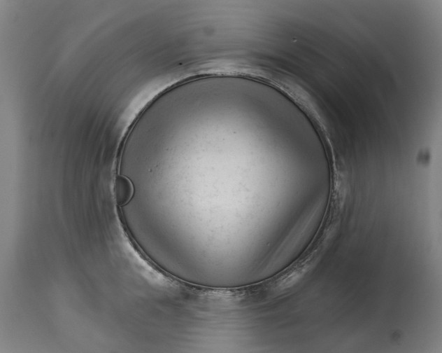 X0000114400855200911131404