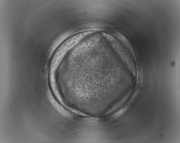 X0000114400859200911131404