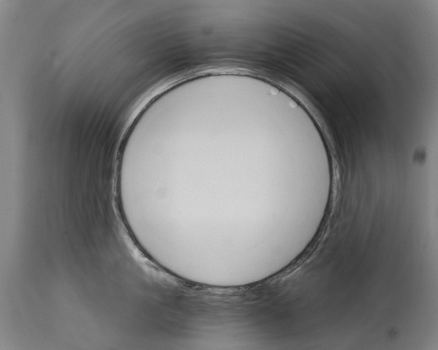 X0000114400861200911131404