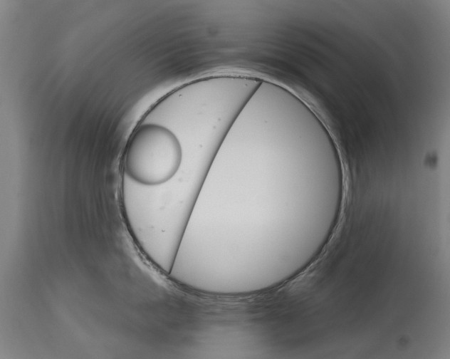 X0000114400862200911131404