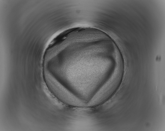 X0000114400864200911131404