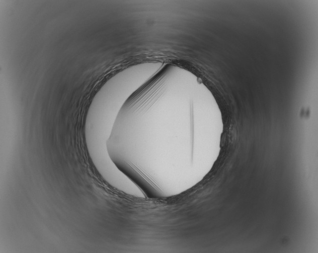 X0000114400865200911131404