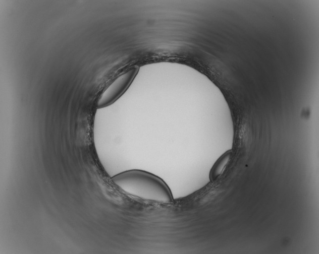 X0000114400868200911131404