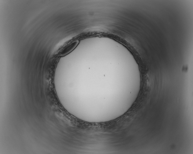 X0000114400872200911131404