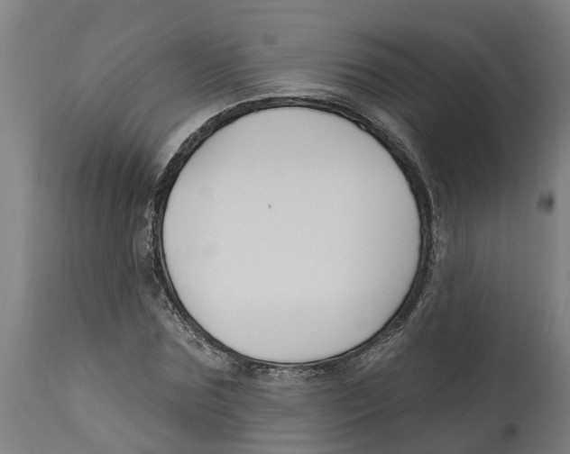 X0000114400875200911131403