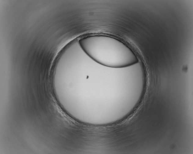 X0000114400876200911131403