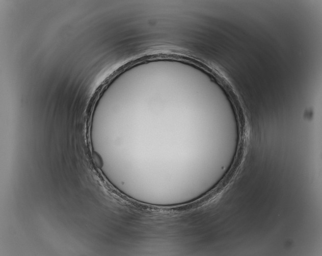 X0000114400877200911131403