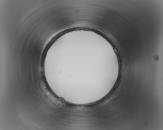 X0000114400880200911131403