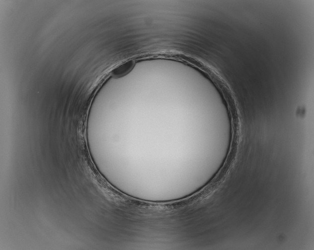 X0000114400881200911131403