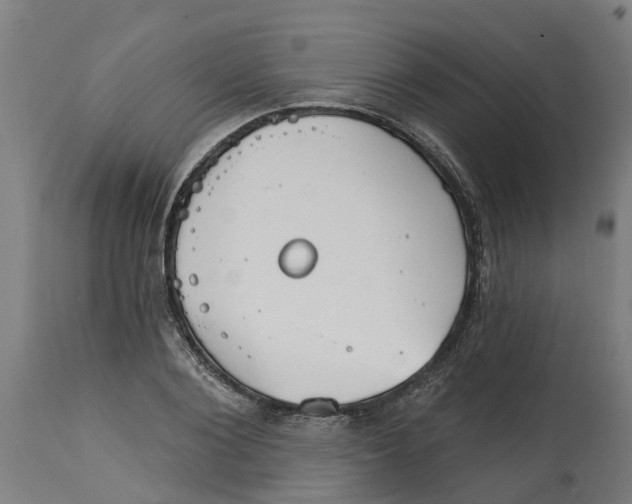 X0000114400884200911131403