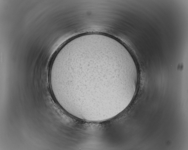 X0000114400886200911131403