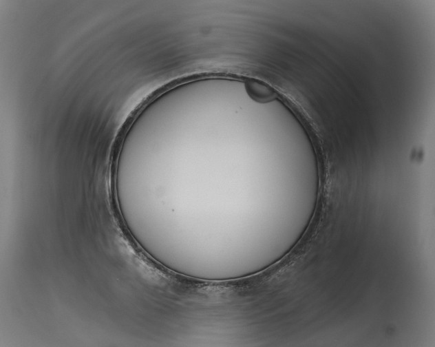 X0000114400888200911131403