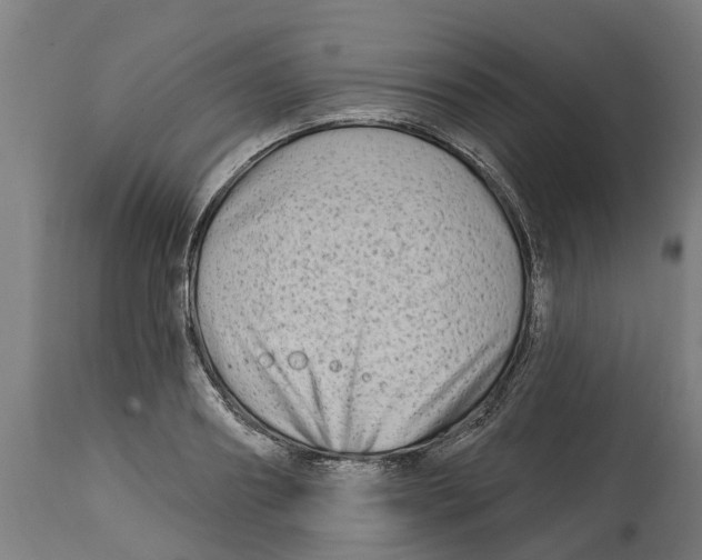 X0000114400890200911131403