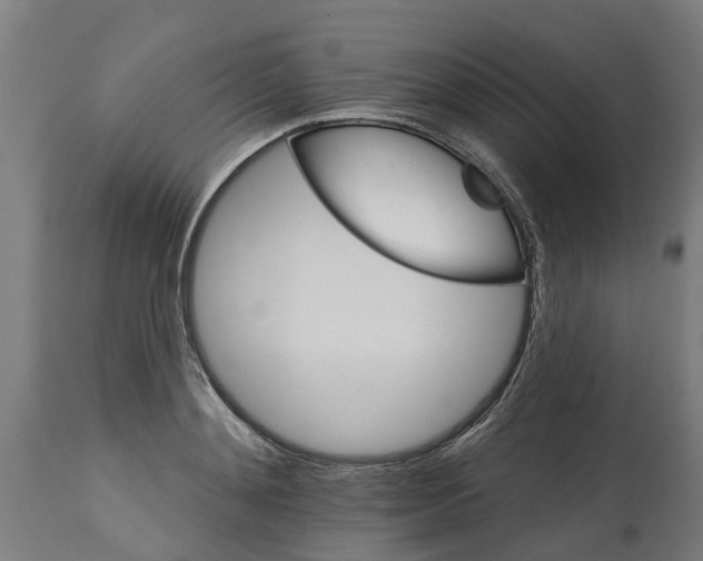 X0000114400892200911131403