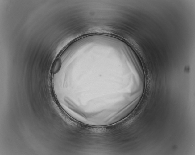 X0000114400893200911131403