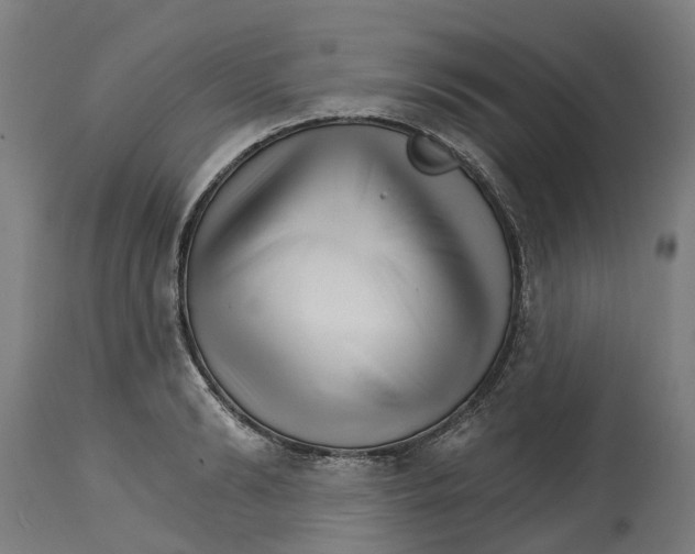 X0000114400894200911131403