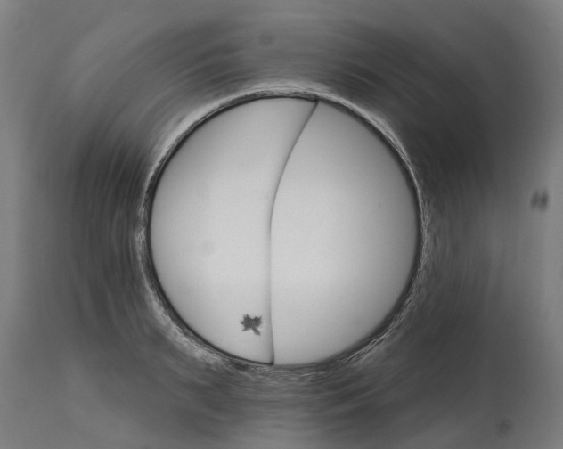 X0000114400895200911131403