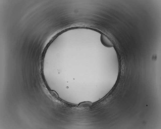 X0000114400896200911131403