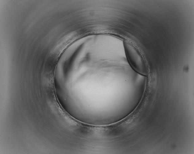 X0000114400897200911131403