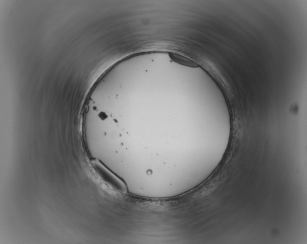 X0000114400900200911131403