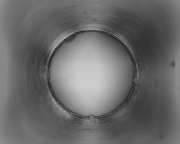 X0000114400901200911131403