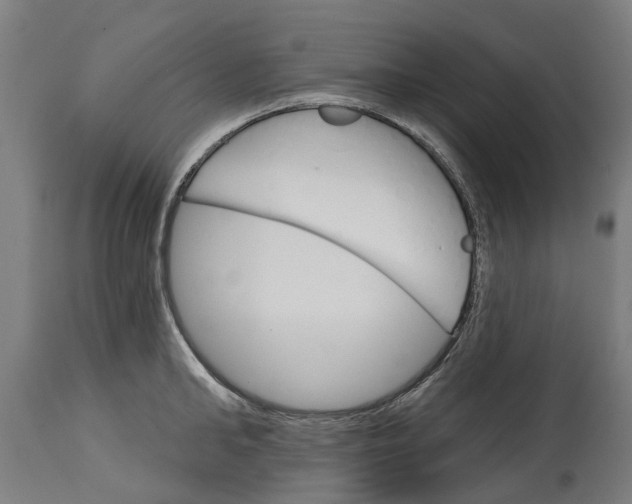 X0000114400902200911131403