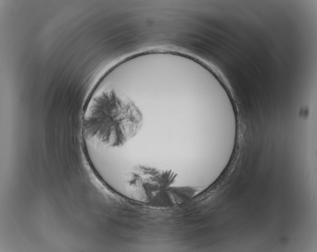 X0000114400903200911131403