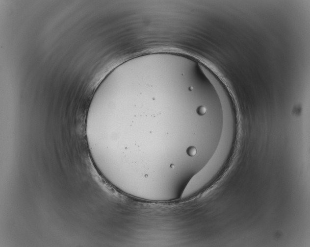 X0000114400905200911131403