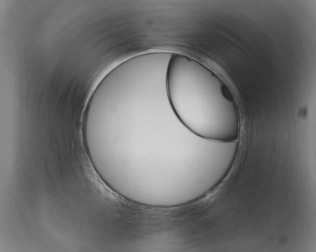 X0000114400908200911131403