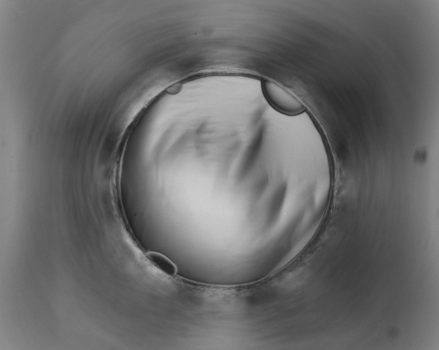 X0000114400909200911131403