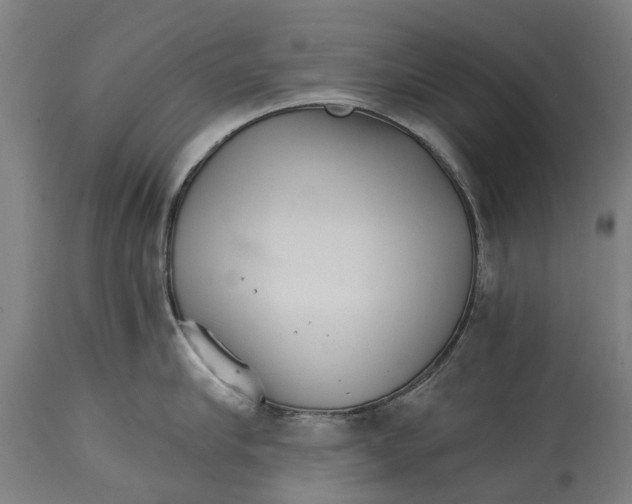 X0000114400910200911131403