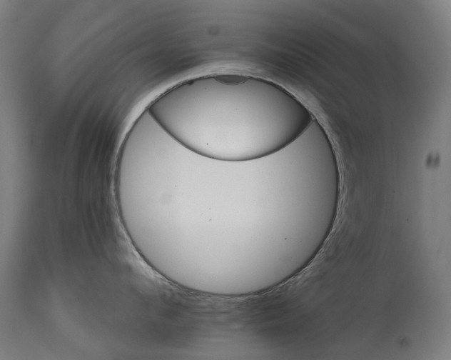 X0000114400912200911131403