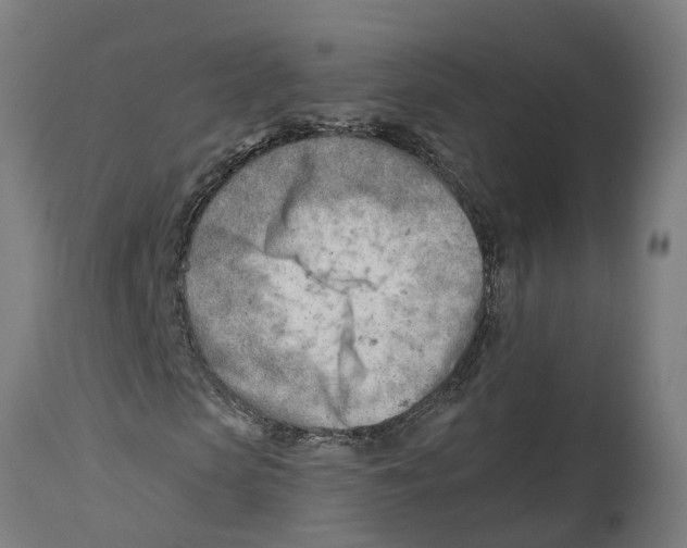 X0000114400913200911131402