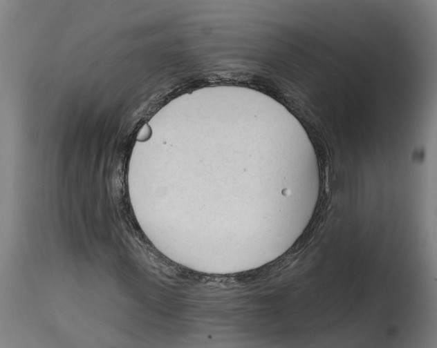 X0000114400915200911131402