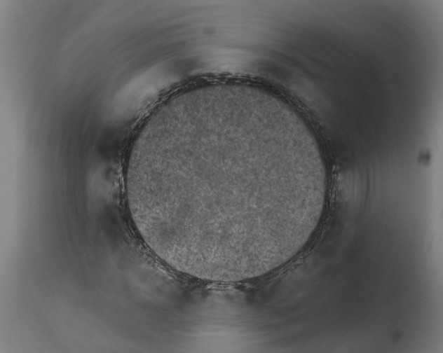 X0000114400918200911131402