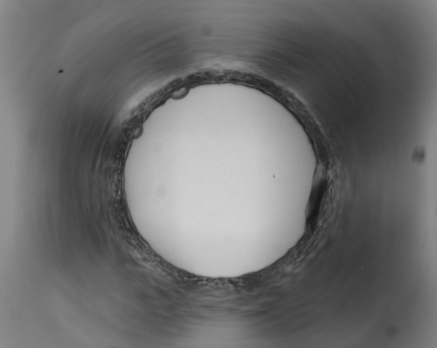 X0000114400919200911131402