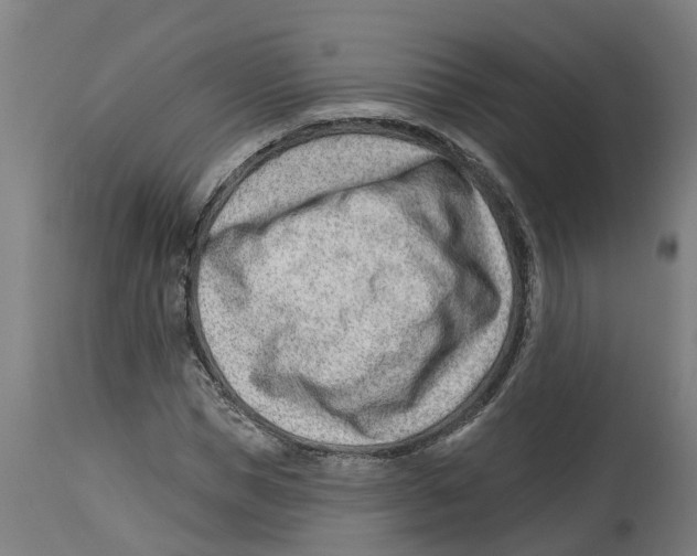 X0000114400921200911131402