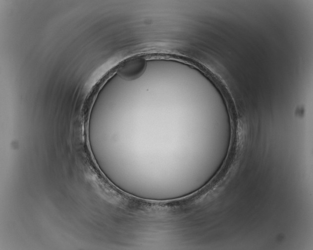 X0000114400925200911131402