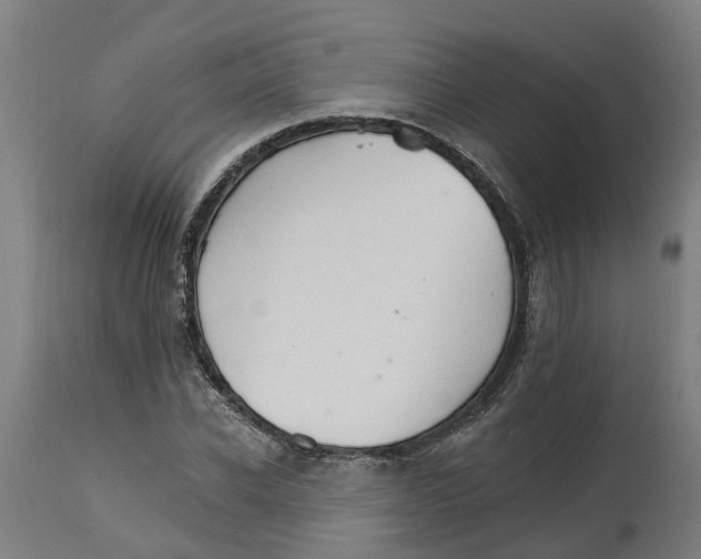 X0000114400926200911131402