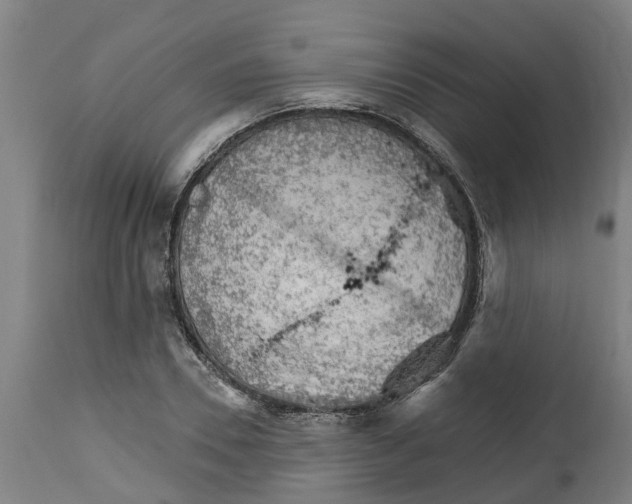 X0000114400930200911131402