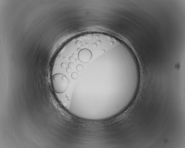 X0000114400931200911131402